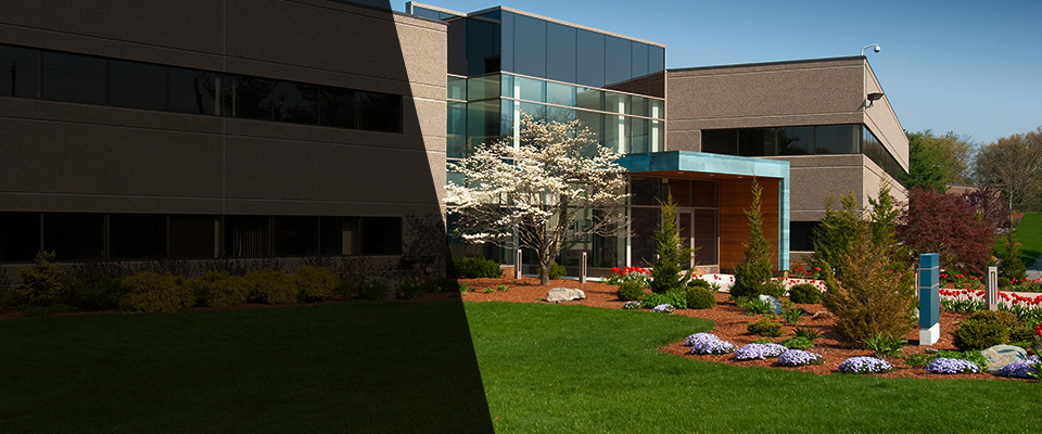 White City Landscapers