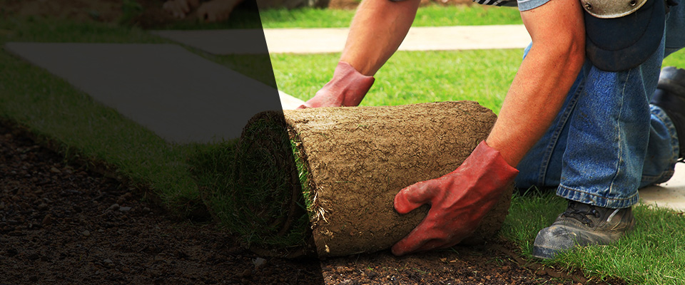 White City Landscapers